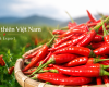 Ớt Chỉ Thiên Việt Nam | OEM, IQF &amp; Xuất Khẩu – Thiên Sa Foods