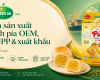 Thiên Sa Food - Nhà sản xuất bánh pía OEM, sỉ/NPP & xuất khẩu tại Việt Nam
