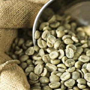 Green coffee bean - Moka, Typica