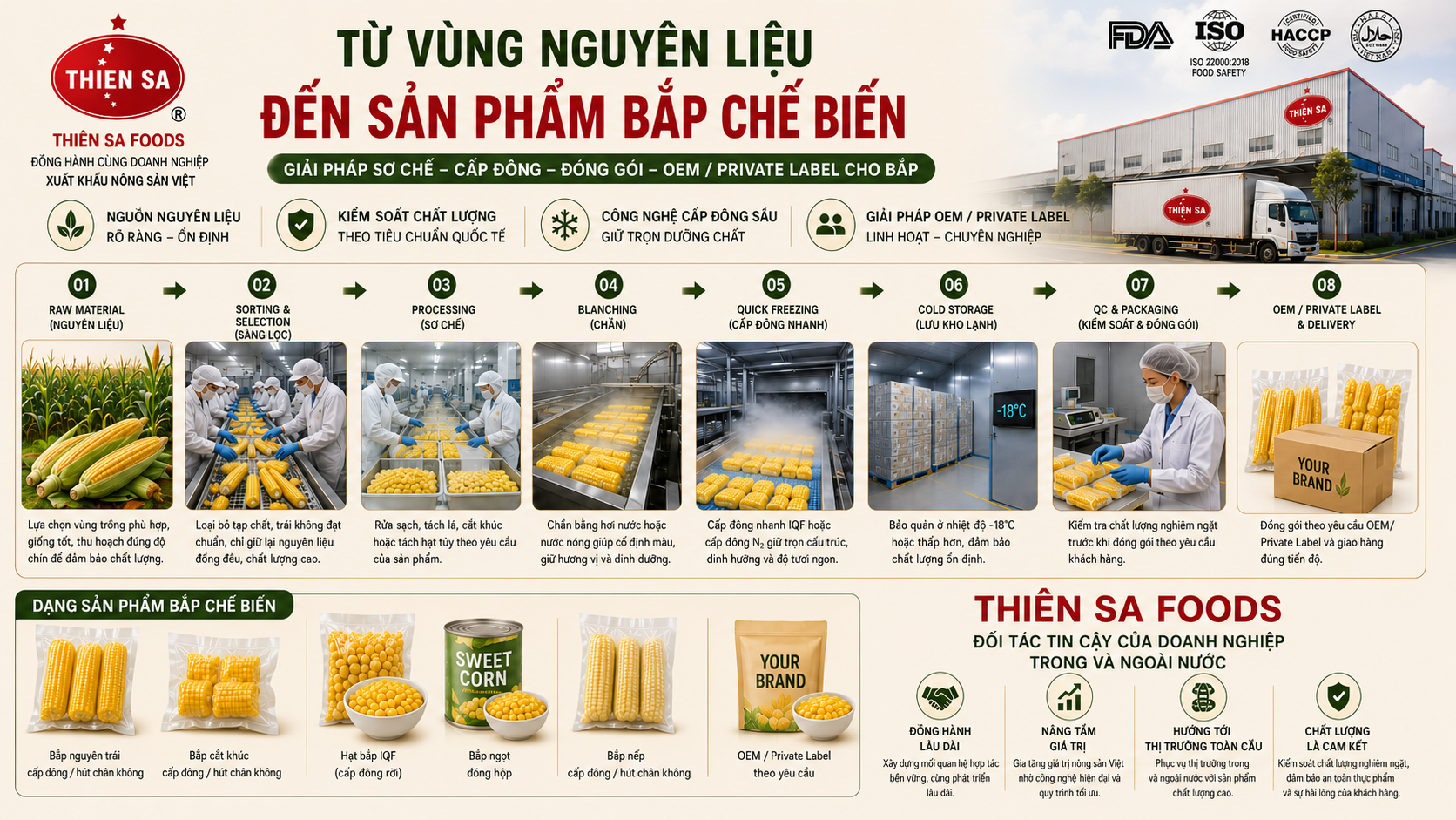 Thiên Sa Foods giải pháp bắp chế biến OEM