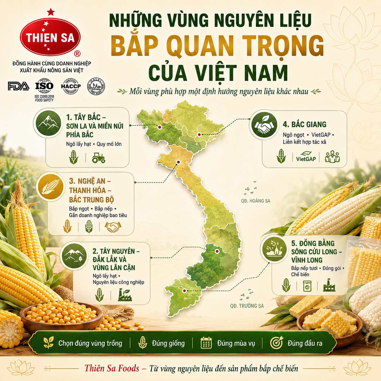bản đồ vùng nguyên liệu bắp Việt Nam