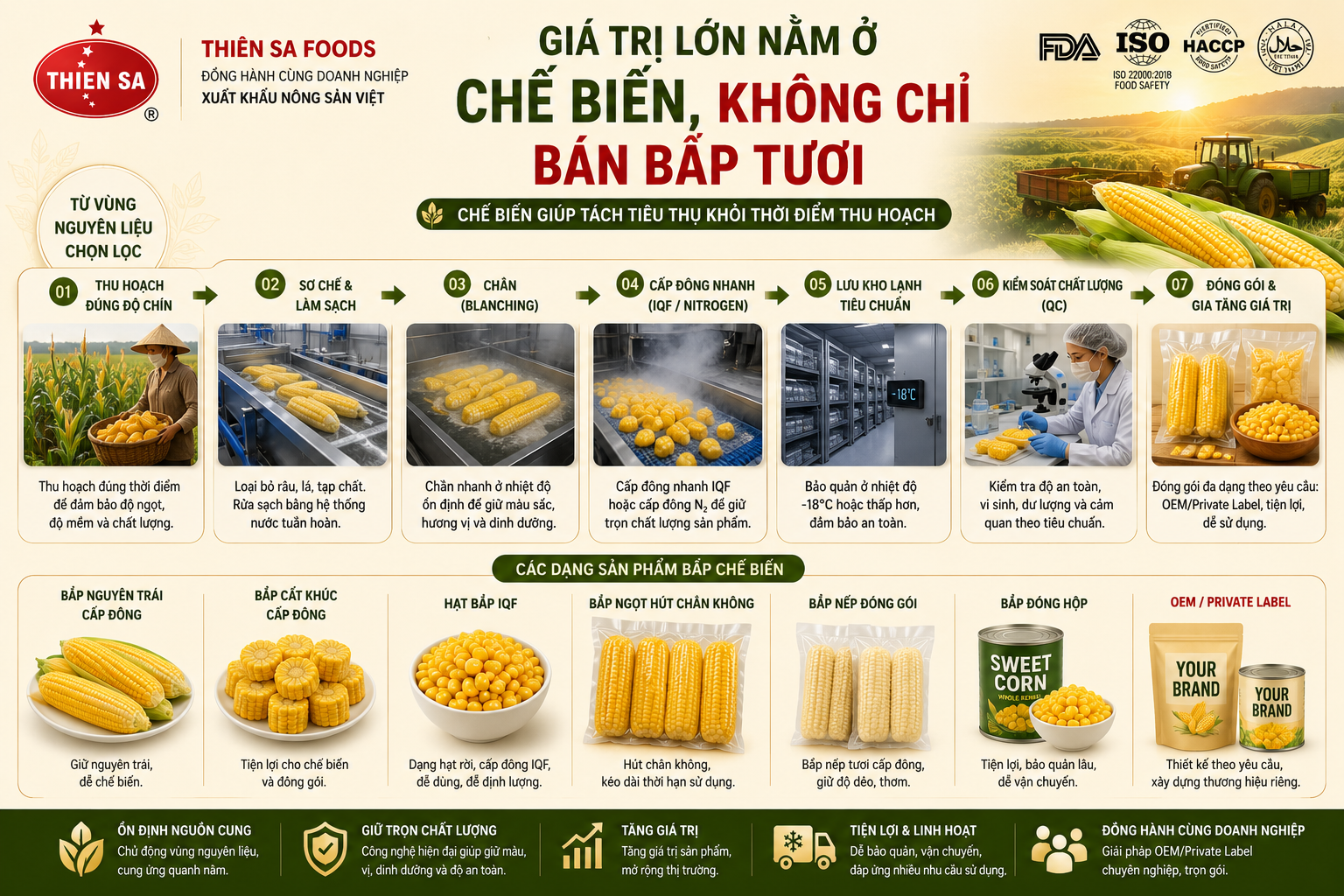 bắp cấp đông đóng gói OEM private label