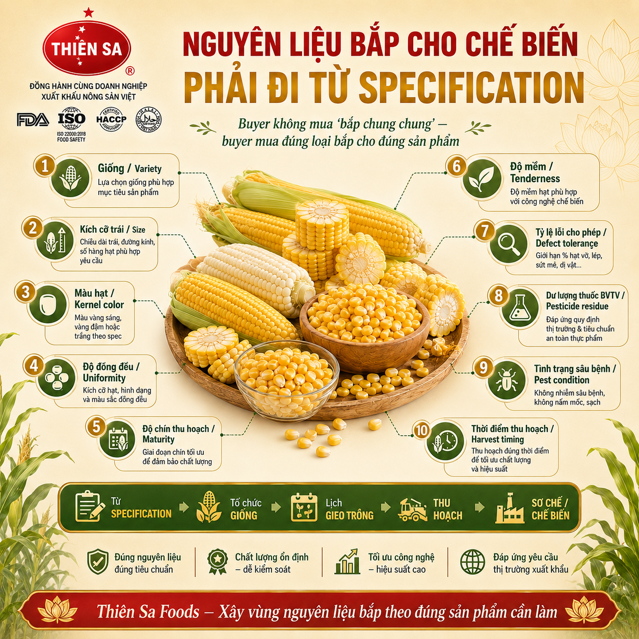 buyer specification bắp chế biến