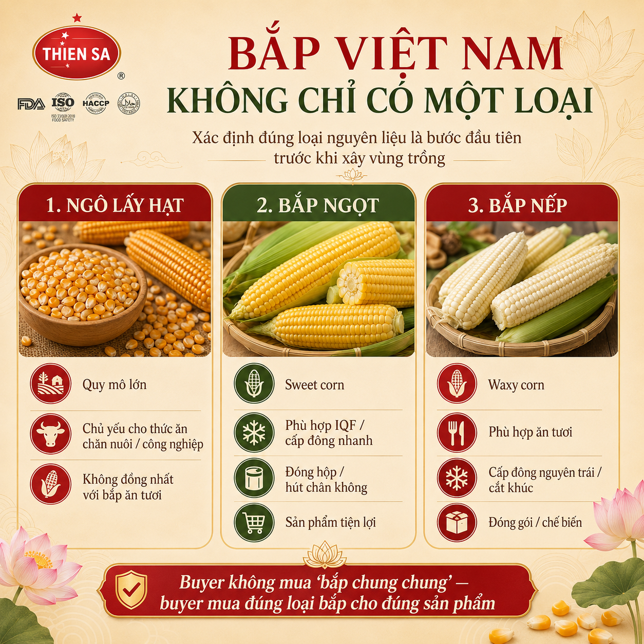 ngô hạt bắp ngọt bắp nếp Việt Nam