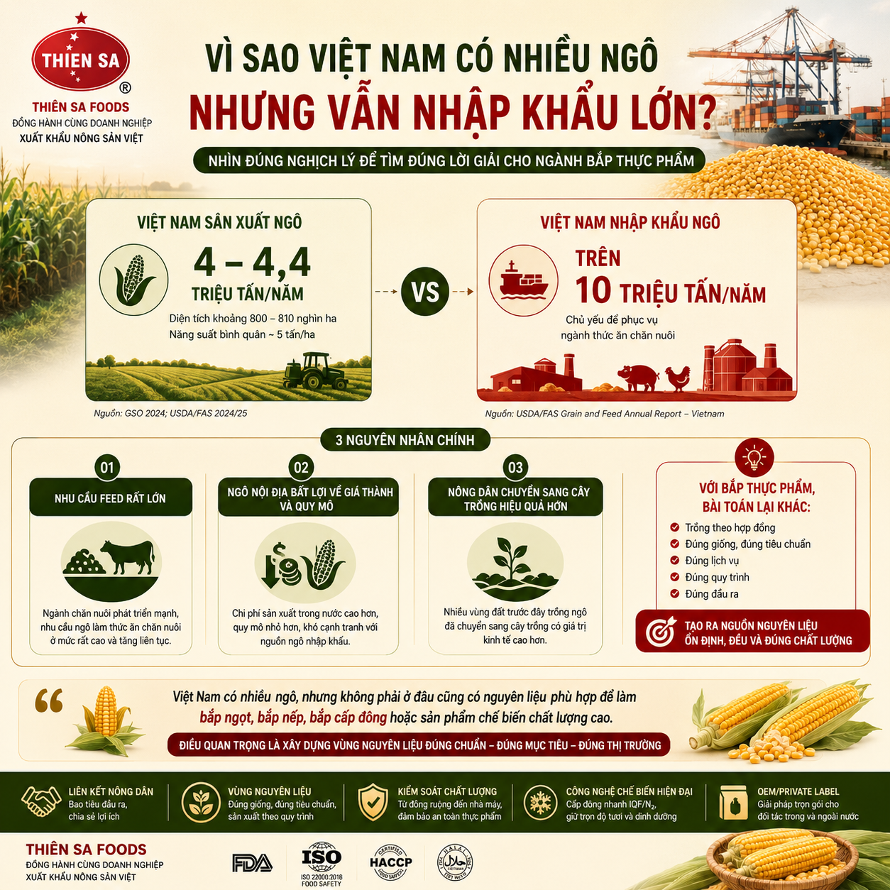 nhập khẩu ngô Việt Nam và ngô thực phẩm