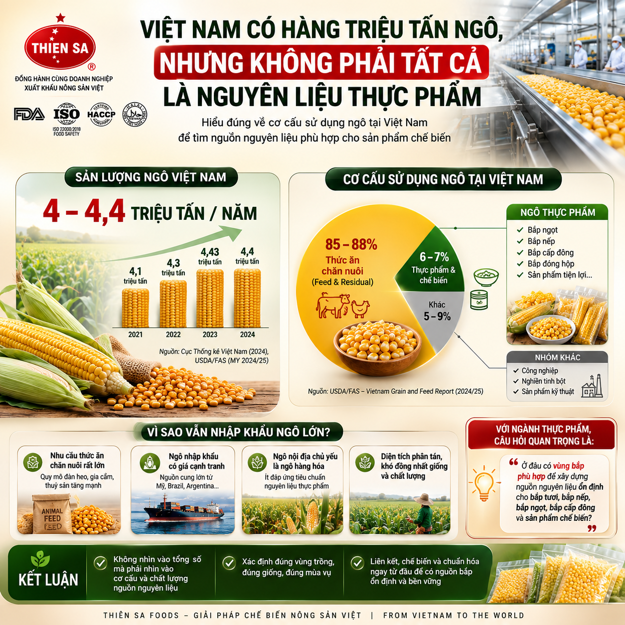 sản lượng ngô Việt Nam và cơ cấu tiêu thụ